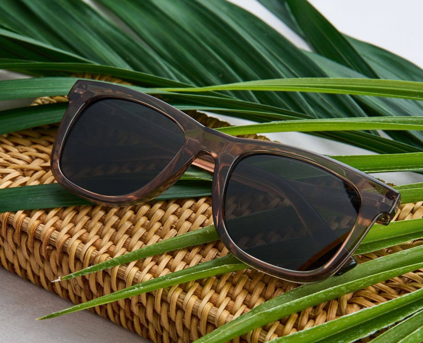 Harbor (Sunglasses): Warm Gray / Bifocal / 2.00