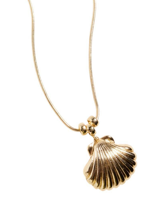 Scallop Shell Pendant Necklace