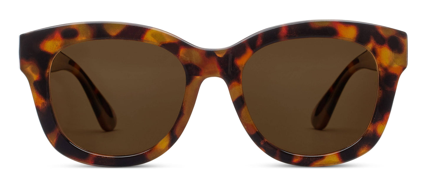 Peepers Tortoise Center Stage Progressive Sunglassess