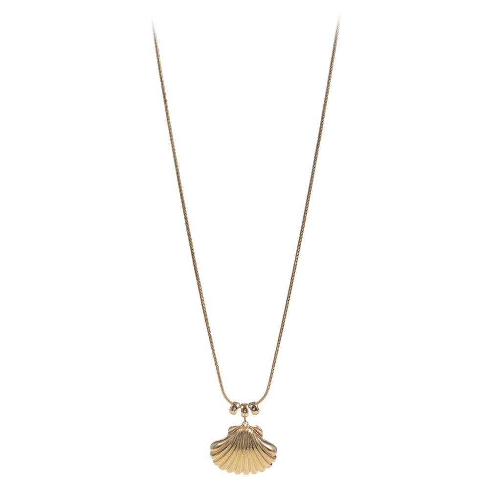 Scallop Shell Pendant Necklace