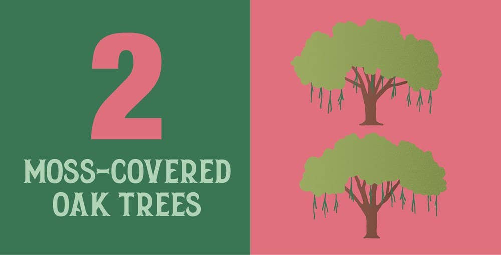 Count On Georgia: Baby’s First Book About the Empire State