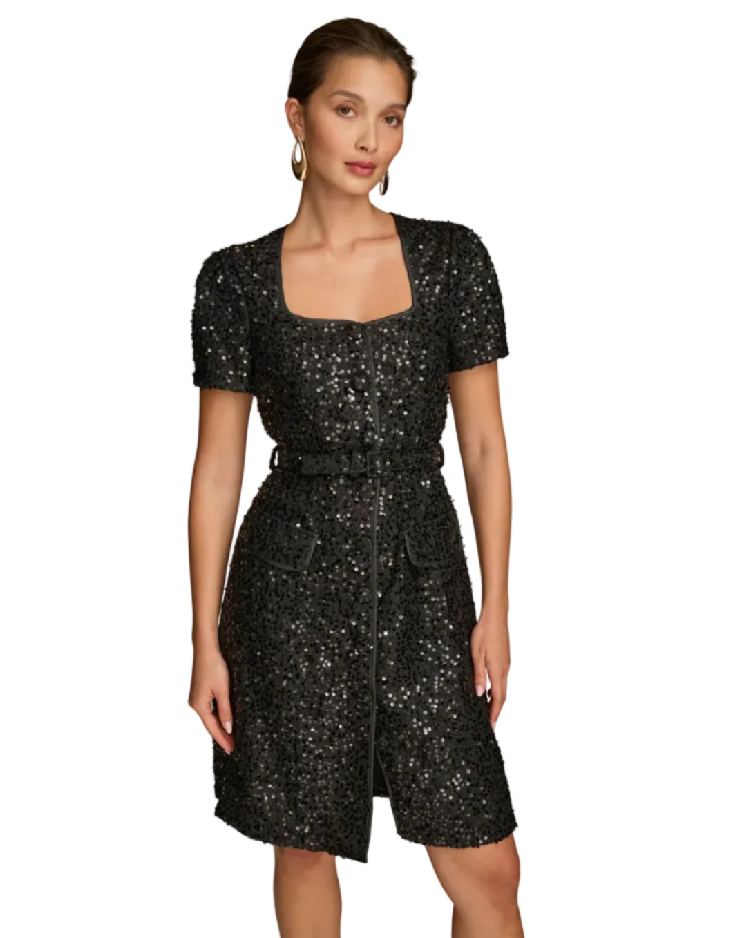 Women's Puff Sleeve Sequin Sheath Dress