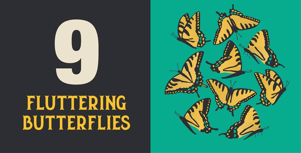 Count On Georgia: Baby’s First Book About the Empire State