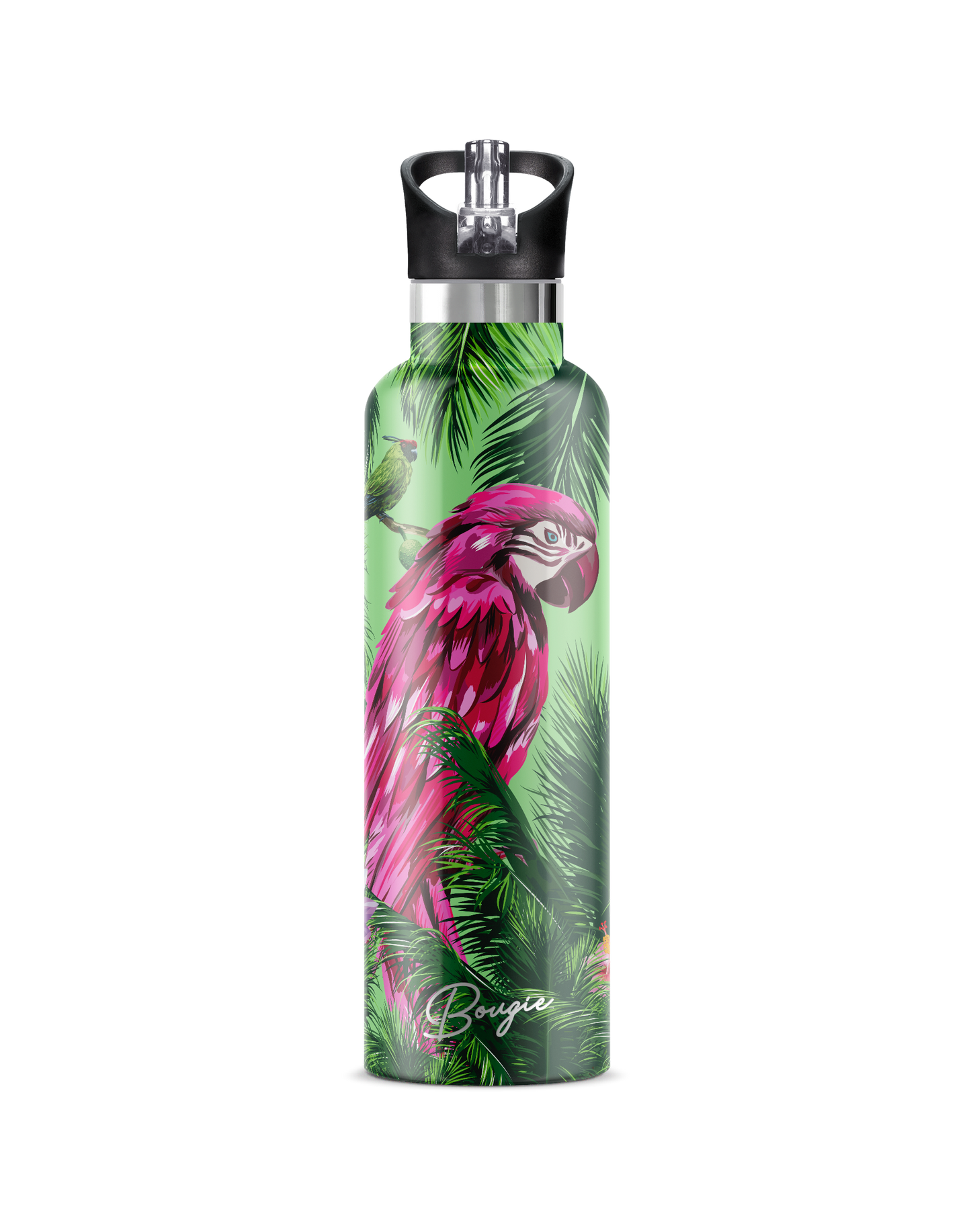 Bougie Macaw Water Bottle