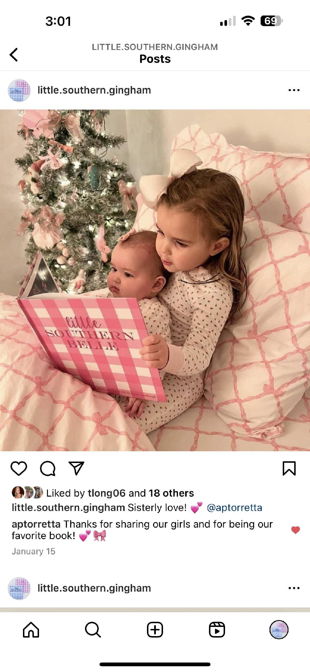 Little Southern Belle Book